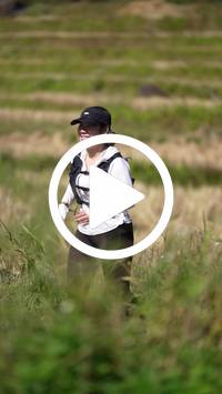 BIB:  <button type="button" onclick="openModal(26787303)" class="btn btn-primary btn-sm float-right" data-toggle="modal" data-target=".modal-high-quality">
                <i class="fa fa-download"></i> Download
                </button>